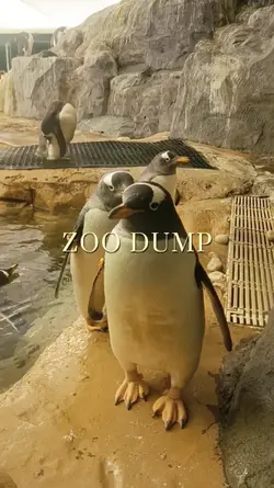 ZOO DUMP