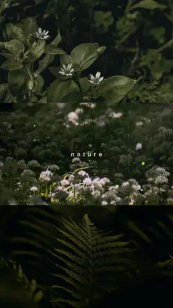 nature