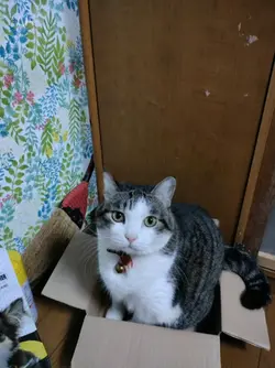 リップテンプレート練習