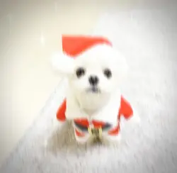Merry Christmas!