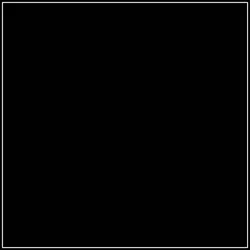 Share vd basic