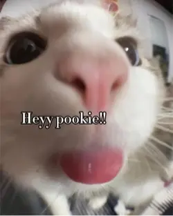 hii :3