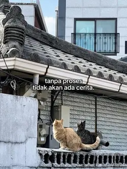 tidak ada cerita 🔥