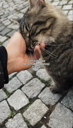 Hidup brantakan