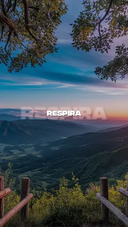 letra status