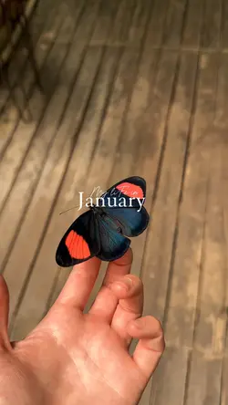 My life in January