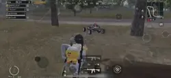 gameplay
