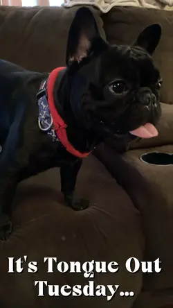 Tongue 👅 Out Tuesday