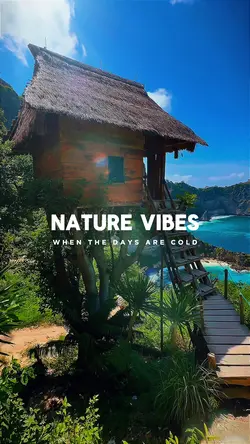 Nature Vibes Templat