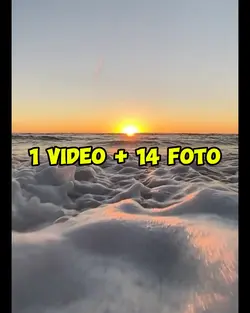 1 video 14 foto