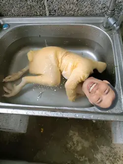 Biến Hình Con Gà