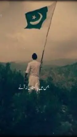 Shukaria Pakistan 