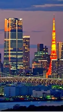 ランキング 