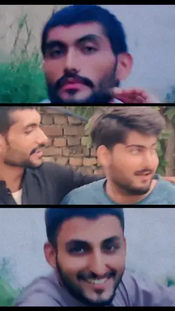 Friendship 