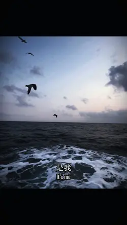 NỬA TRÁI TIM