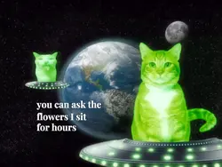 ALIEN CAT MEME