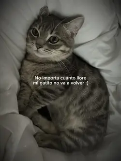 No va a volver :(