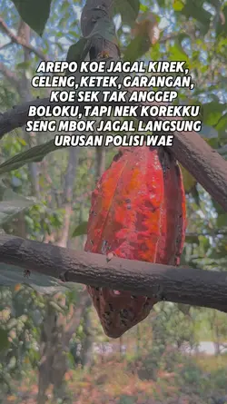 Bahan sw