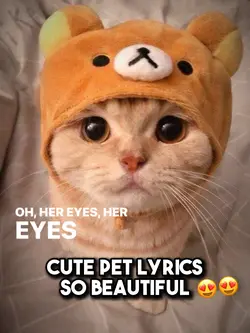 Cute pet lyrics 😍