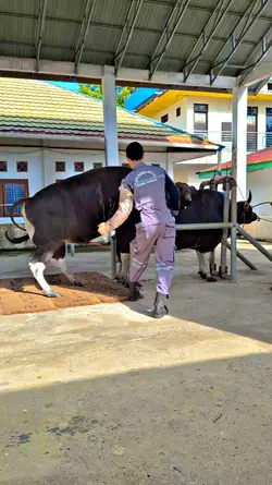 Biar Keliatan Anak