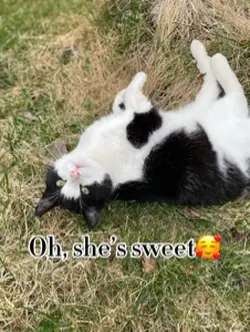 Sweet but spycho