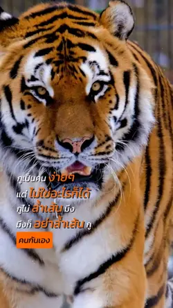 เป็นคนง่ายๆ