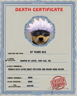 DEATH CERTIFICATE 