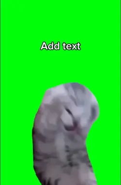 Sad cat meme