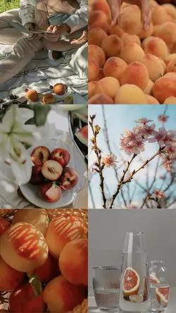 6 collage 