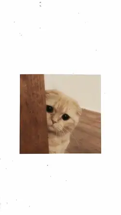 infrunami