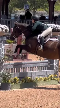 HOLY KNEES 😱 | EQ 🐴