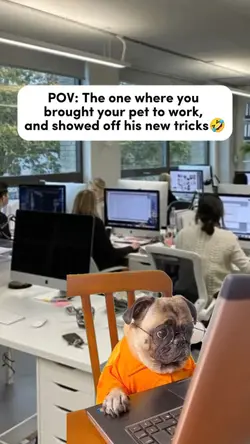 Dog Officemate