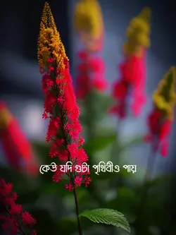 আল্লাহকে না পেয়ে