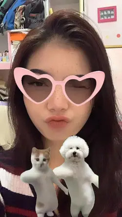 anjing dan kucing 