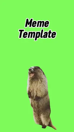 Marmot screaming 