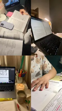 studies 