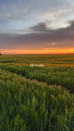 Life in july