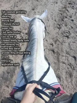 nie zmienię się 