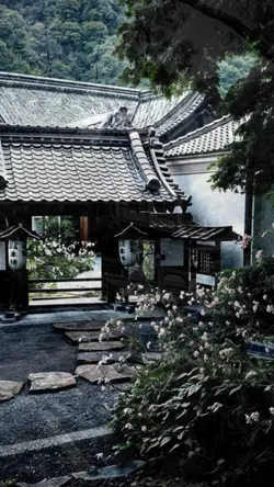 người đã yêu ai