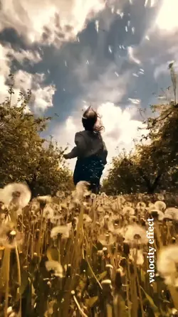 Velocity Effect❤️