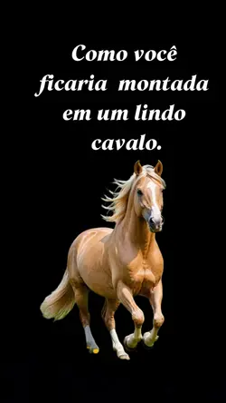 Montada  no cavalo
