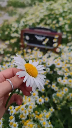 Spring day