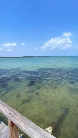 កោះ