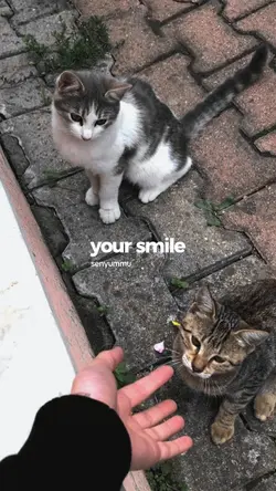 your smile