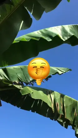 trend emoji