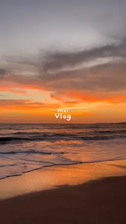 Mini Vlog 