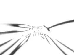 SENCY MONOGRAPH