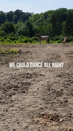 we could dance 