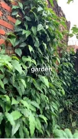 Gardening time