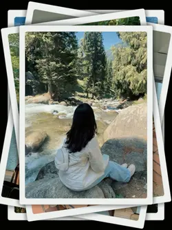 8Pic Clip Transition